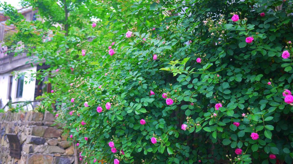 Moganshan Bamboo View Guesthouse Deqing Zewnętrze zdjęcie