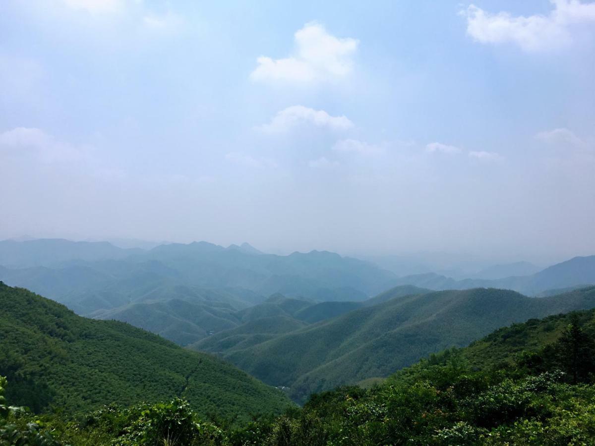 Moganshan Bamboo View Guesthouse Deqing Zewnętrze zdjęcie