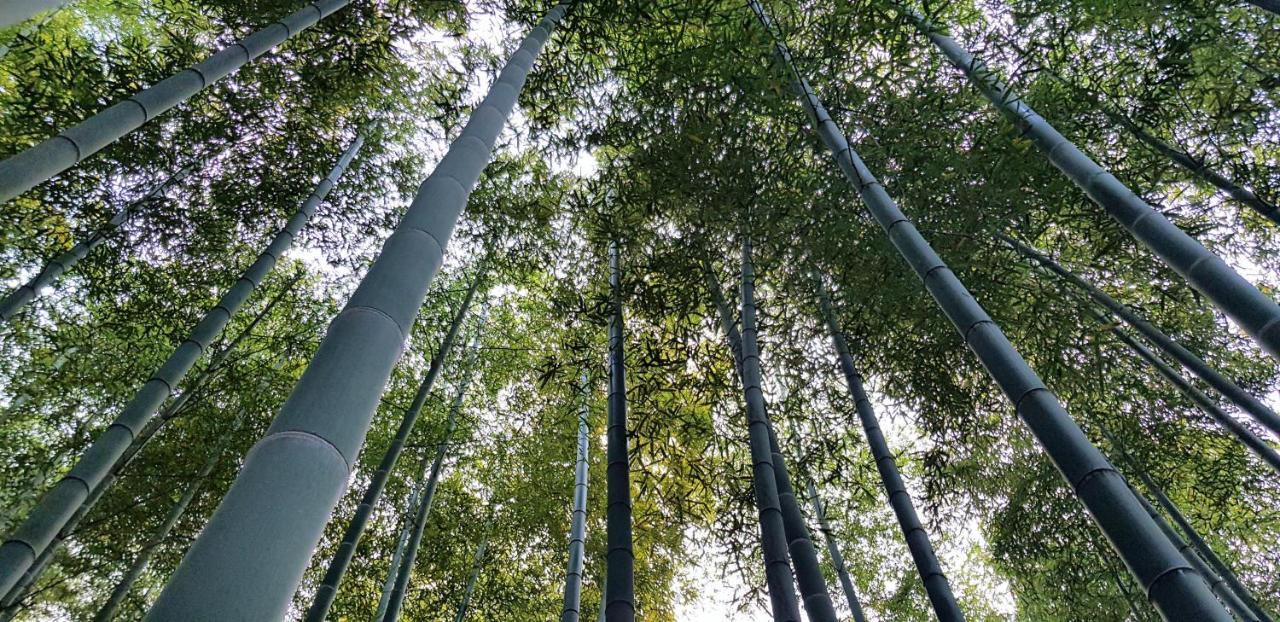 Moganshan Bamboo View Guesthouse Deqing Zewnętrze zdjęcie
